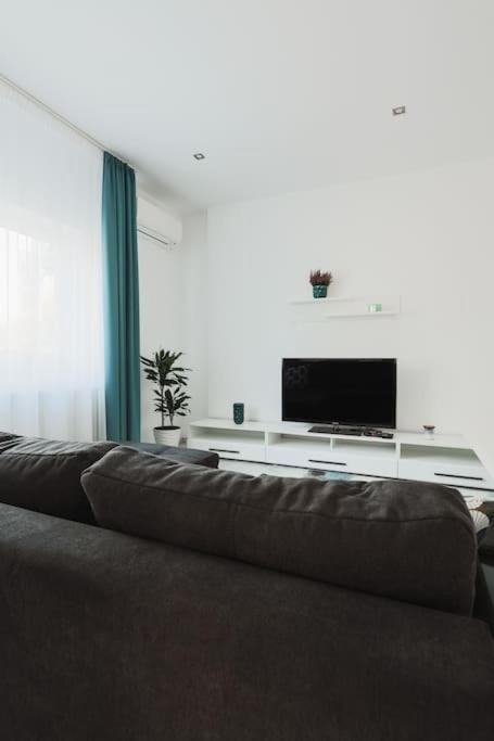 Ambassador Apartment Nagybánya Kültér fotó